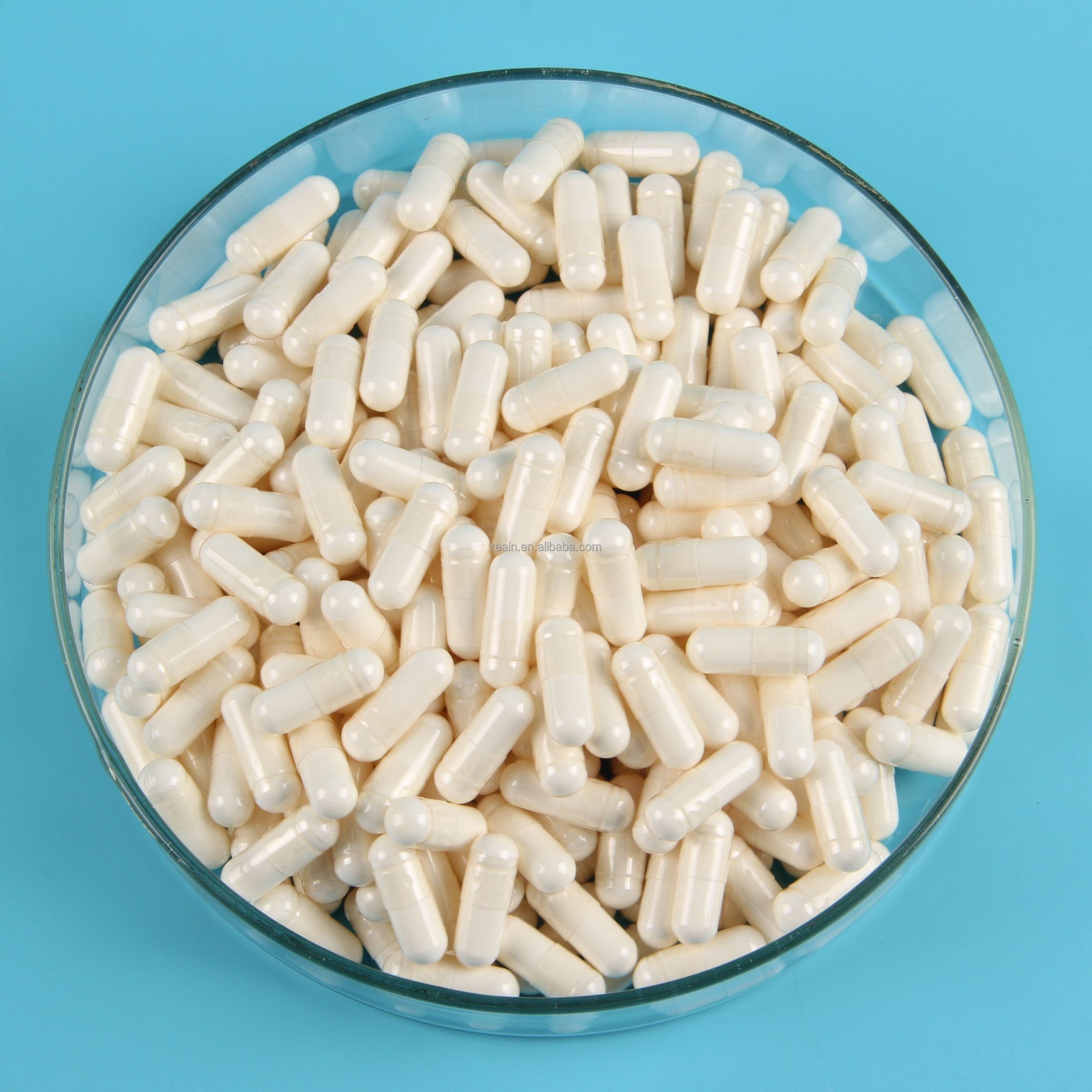OEM Private Label Herbal Free Sample Supplements 95% OPC Proanthocyanidins 60/120 Grape Seed Extract Capsules
