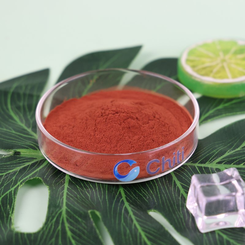 Supply Natural Organic Grape Seed Extract 95% OPC Powder