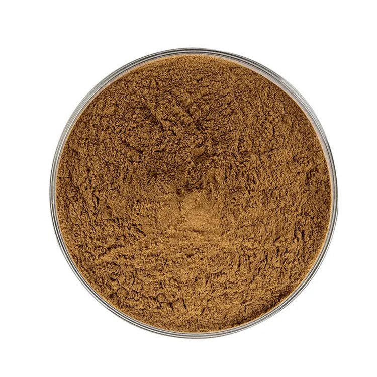 Wholesale Bulk Natural Pine bark extract 20:1 30:1 Pinus Rradiata Pine Bark Extract