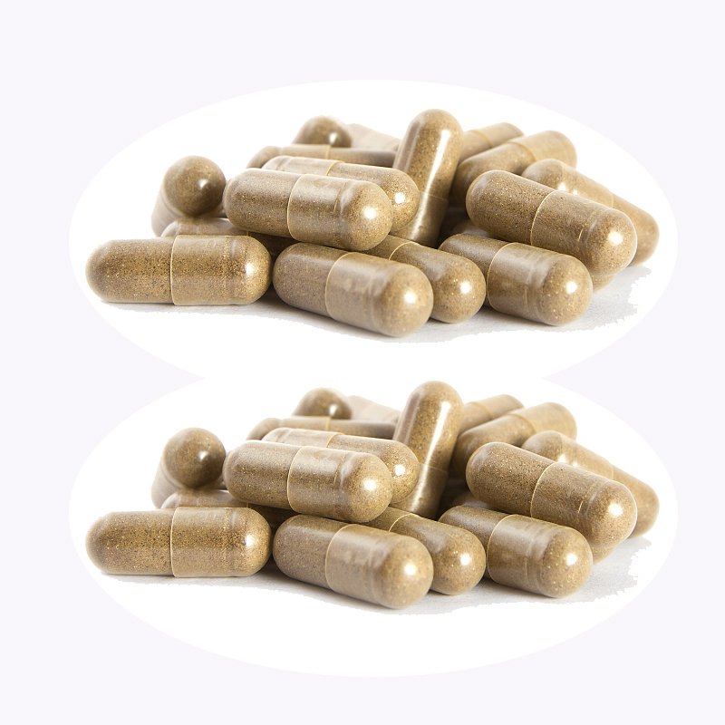 OEM Supplement 95% Proanthocyanidins OPC french Pine Bark Extract Capsule
