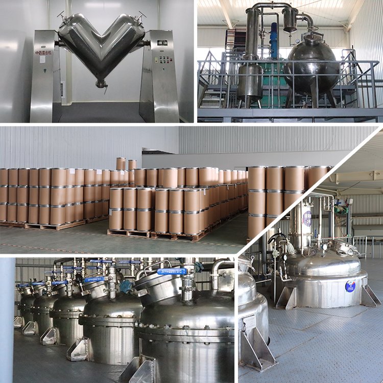 EU Warehouse Grape Seed Extract 95%Proanthocyanidins Powder OPC Oligomeric Proanthocyanidins