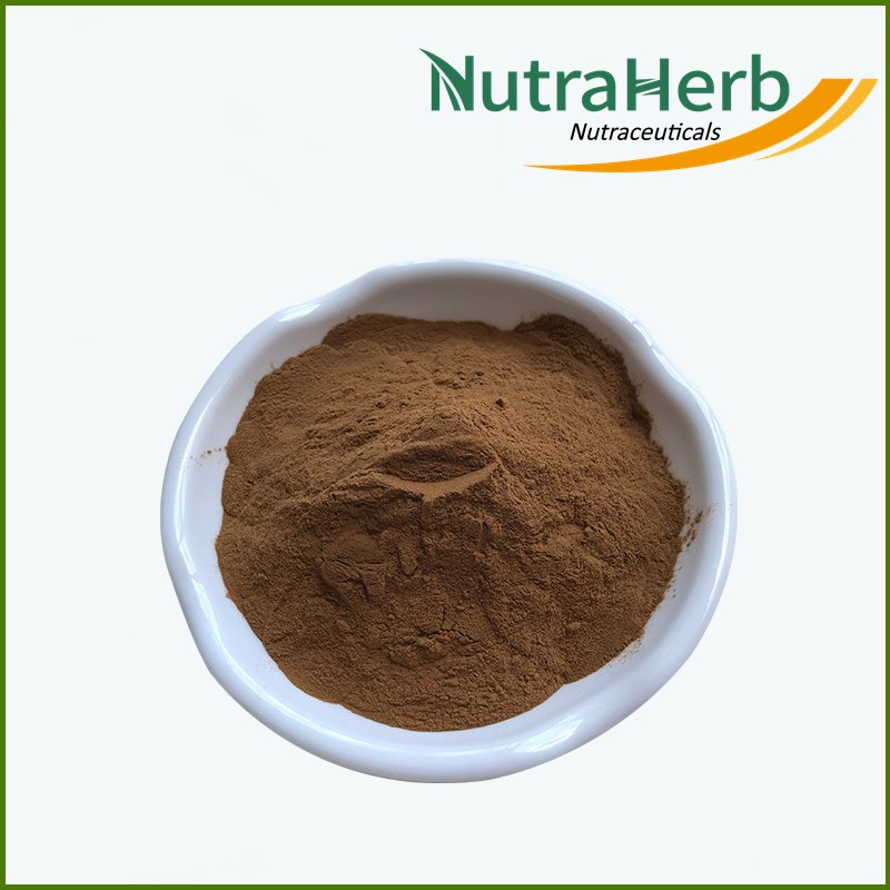 Wholesale Price Grape Seed Extract Powder 95% Proanthocyanidins Grape Seed Extract