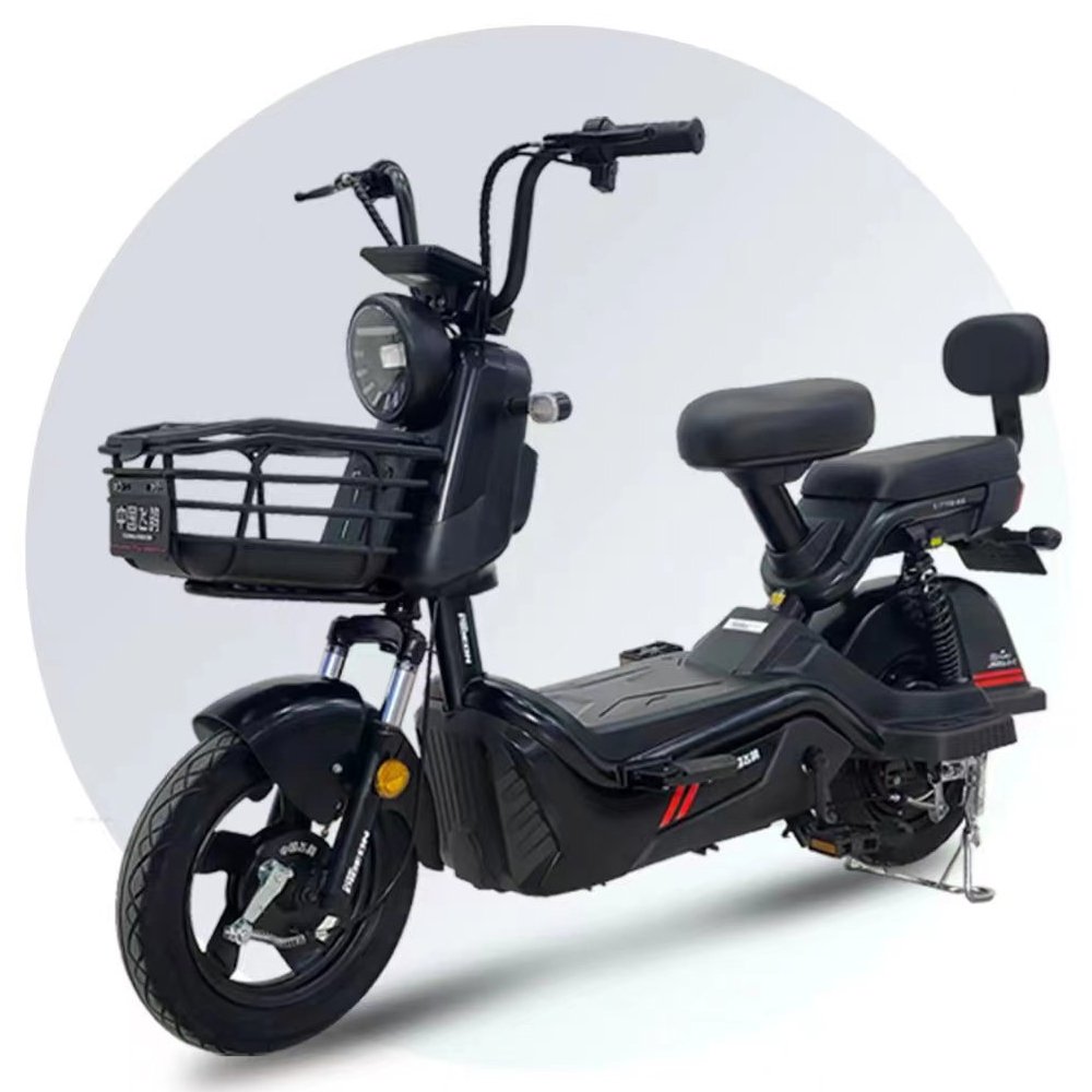 48V 20AH Long Range Electric city bicycle (FP-ES-LT2302)
