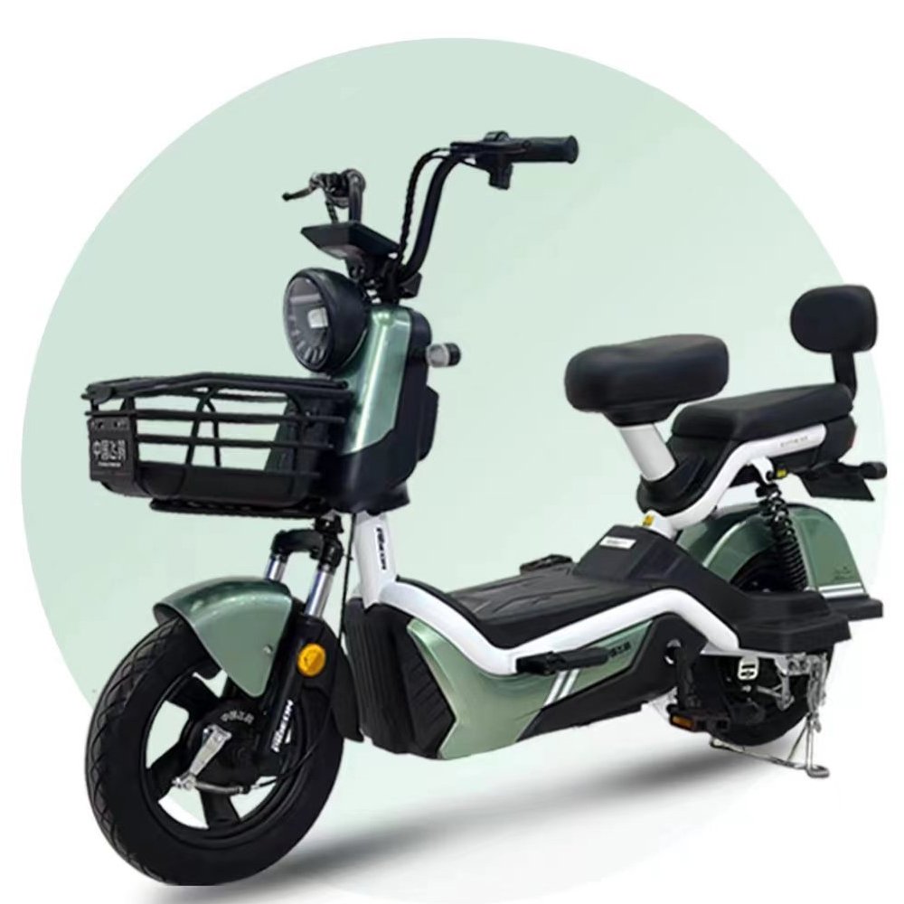 48V 20AH Long Range Electric city bicycle (FP-ES-LT2302)