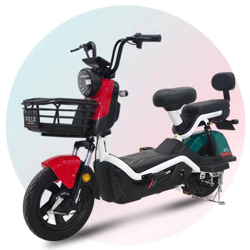 48V 20AH Long Range Electric city bicycle (FP-ES-LT2302)