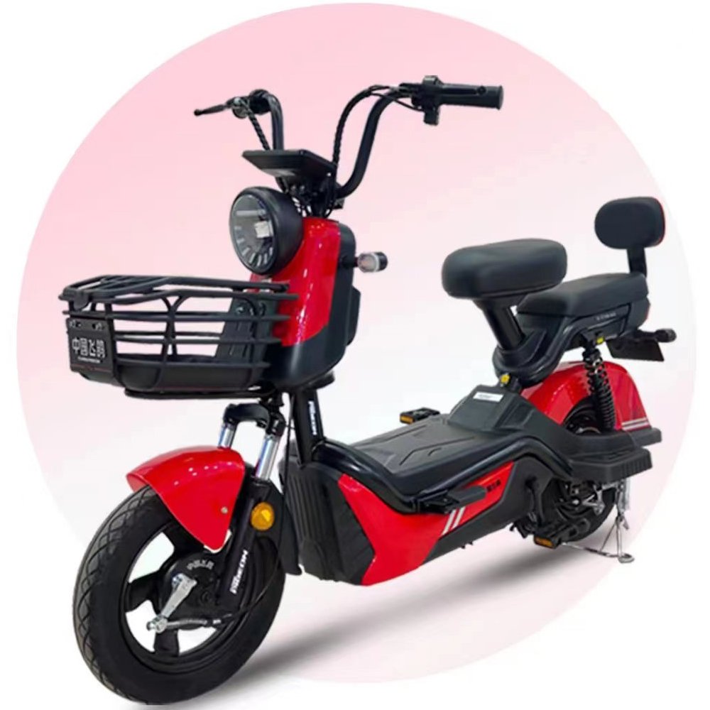 48V 20AH Long Range Electric city bicycle (FP-ES-LT2302)