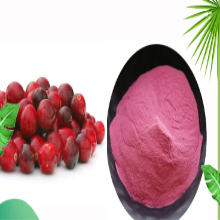 Food Grade Cranberry Powder Freeze Dried Powder and Juice Powder