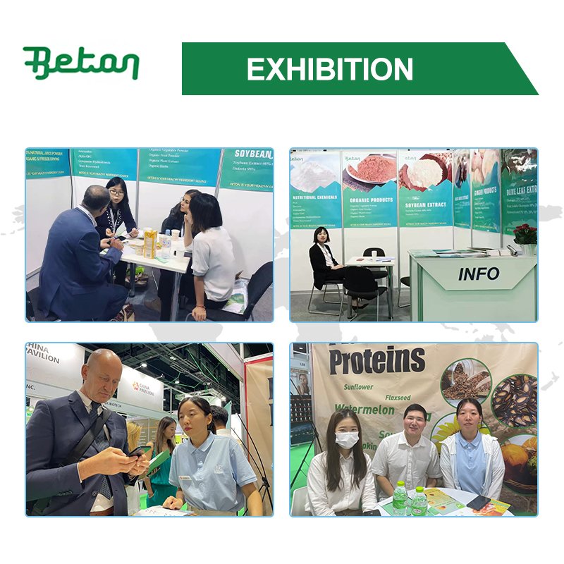 Beton Supply Water Extraction Opc French Grape Fruit Red Seed Extract Pure 95% Grapeseed Grape Seed Extract Powder Polyphenol