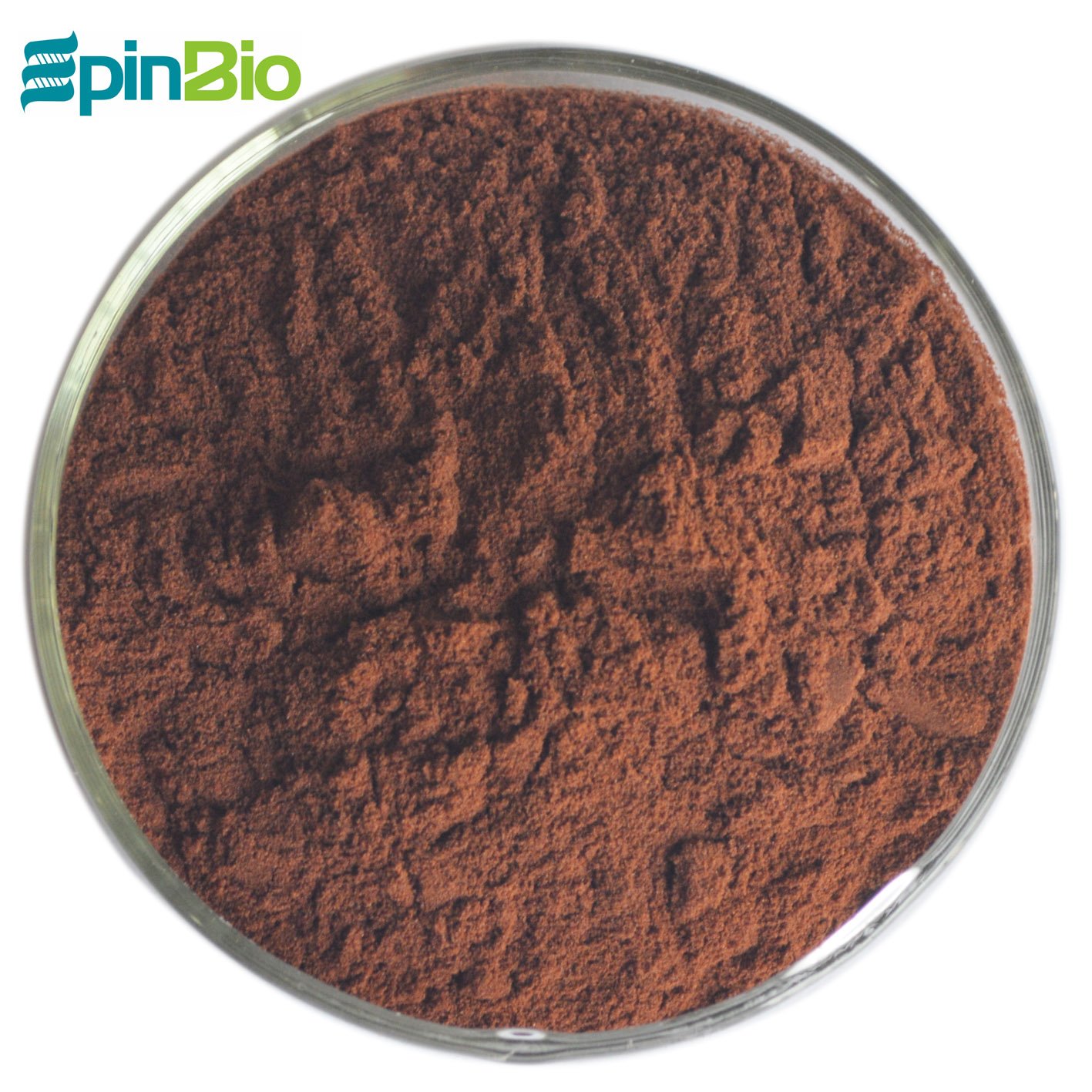 100% grape seed extract opc 95%/ pure grape seed extract powder