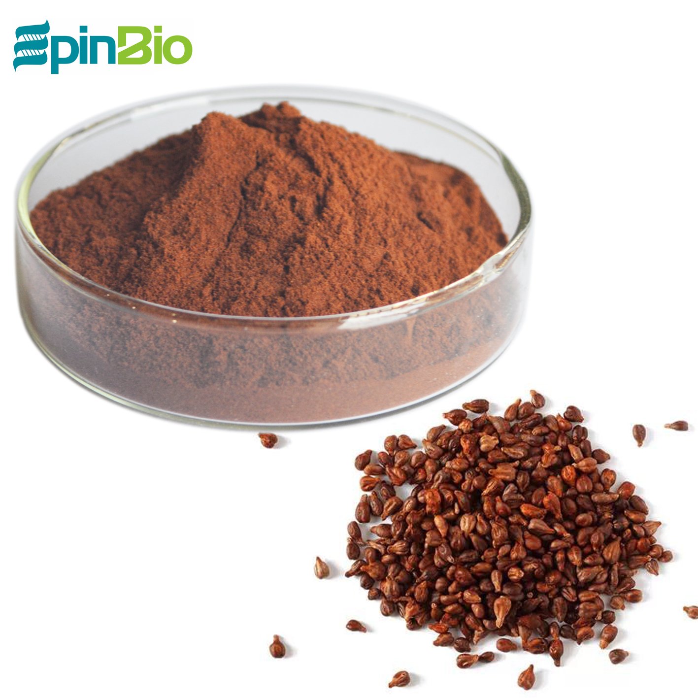 100% grape seed extract opc 95%/ pure grape seed extract powder