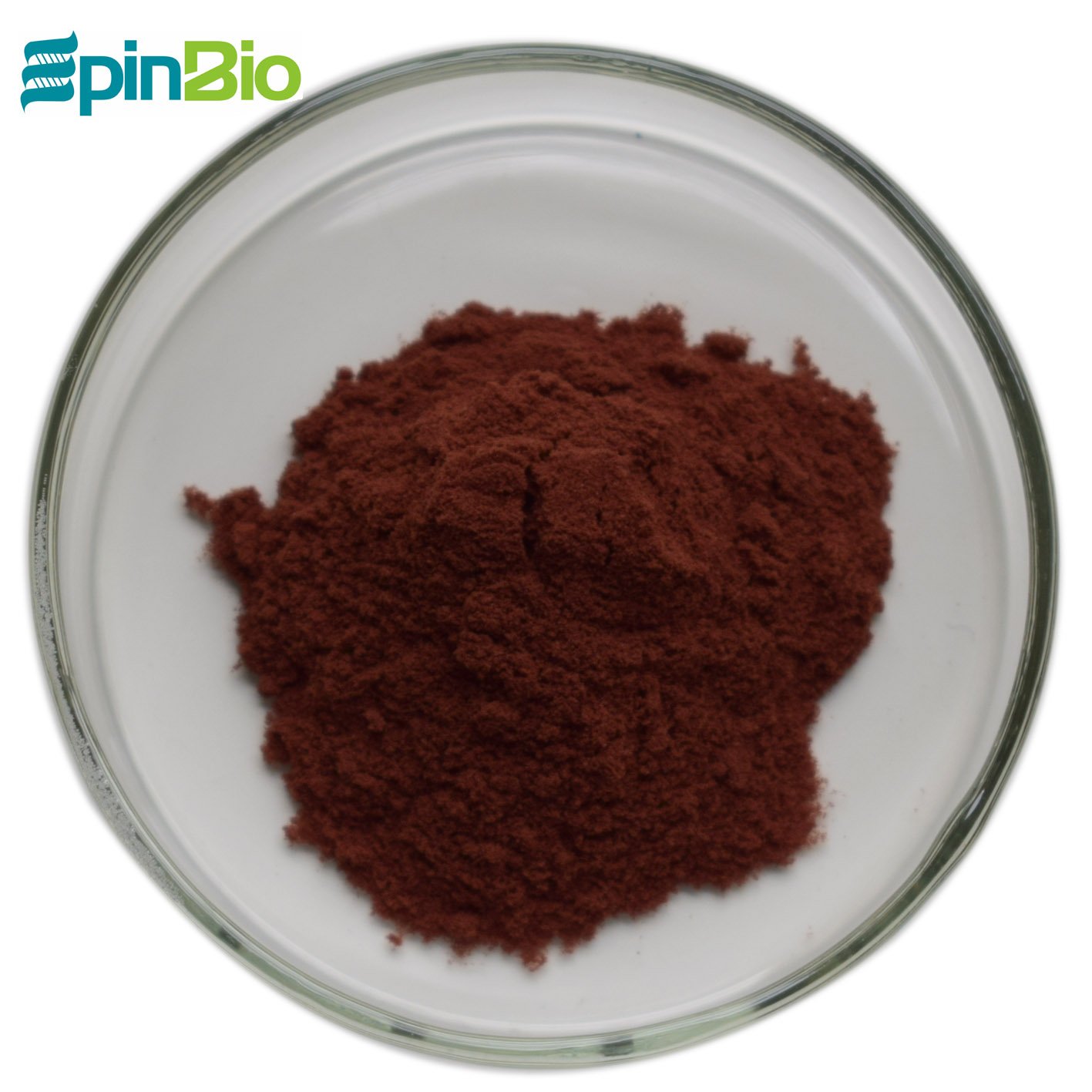 100% grape seed extract opc 95%/ pure grape seed extract powder
