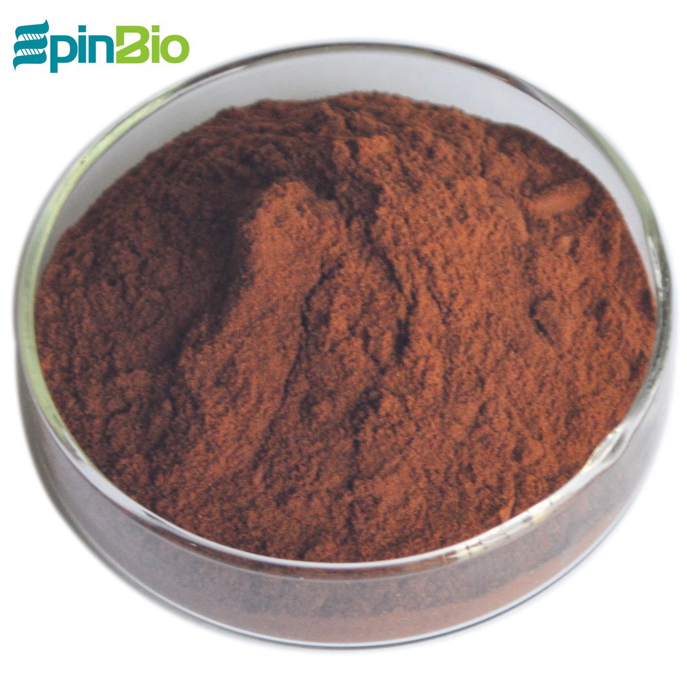 100% grape seed extract opc 95%/ pure grape seed extract powder