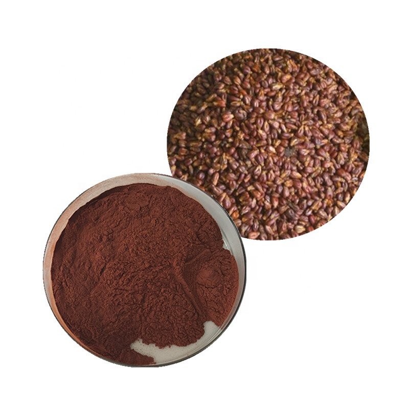 High quality anti oxidant 400mg grape seed extract capsules