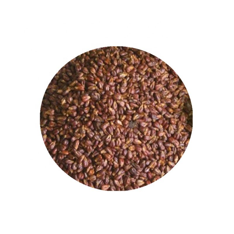 High quality anti oxidant 400mg grape seed extract capsules