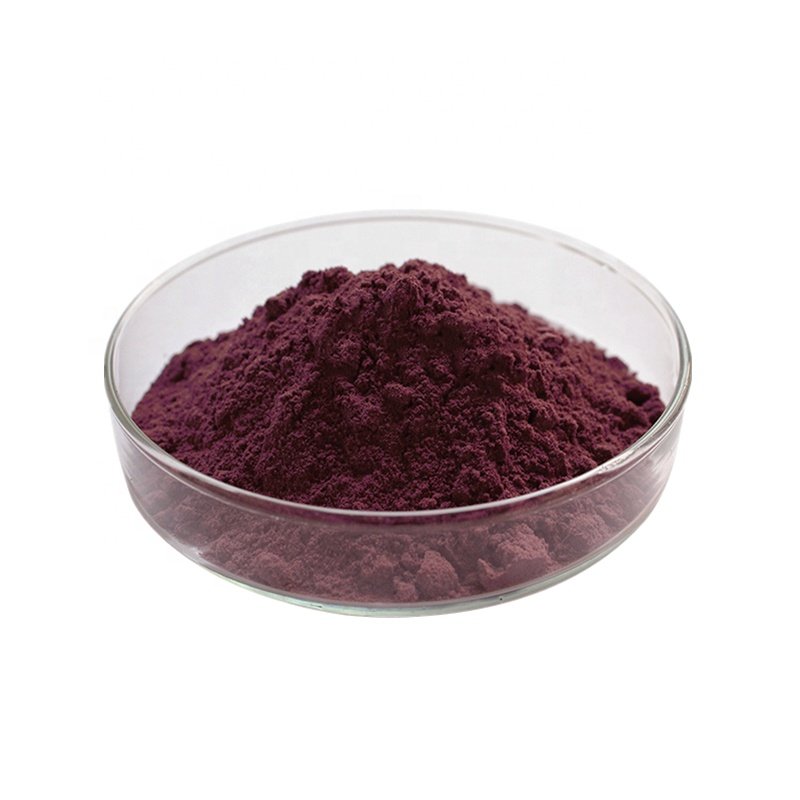 High quality anti oxidant 400mg grape seed extract capsules