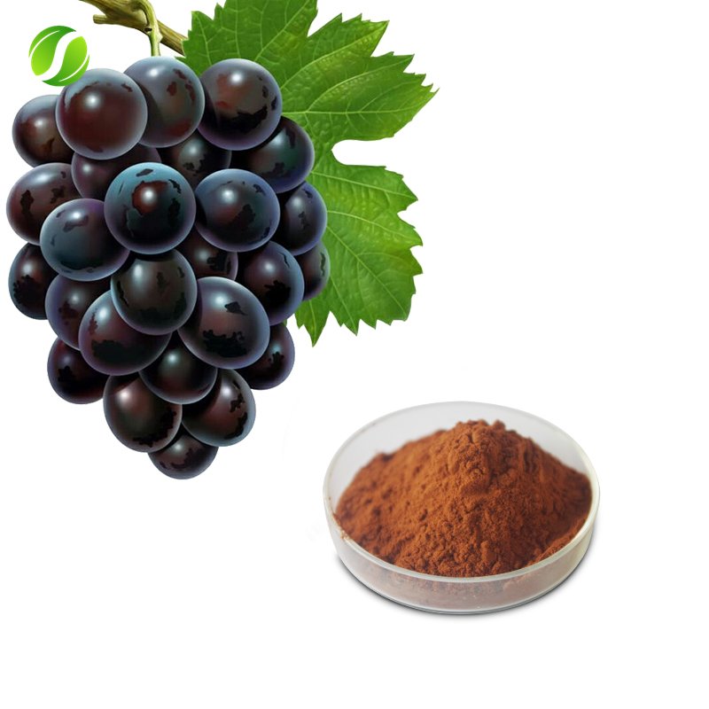Natural Proanthocyanidins Powder OPC 95% Grape Seed Extract