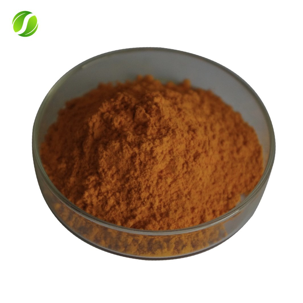 Natural Proanthocyanidins Powder OPC 95% Grape Seed Extract