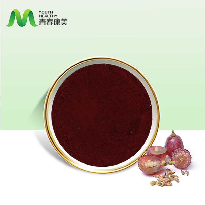 Factory Supply Grape Seed Extract 95% Opc Proanthocyanidins
