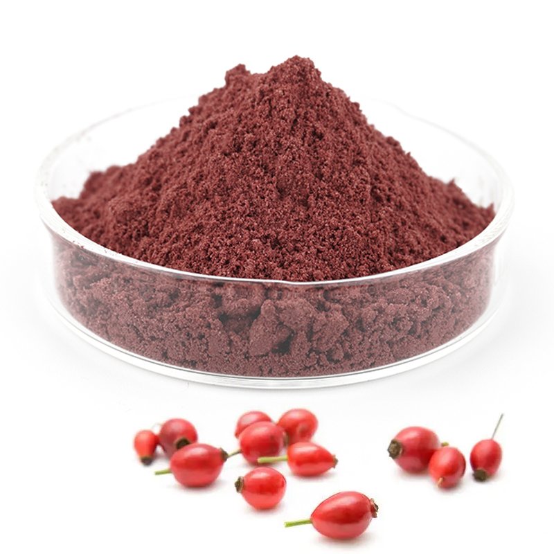 Supply Cosmetic Ingredients Pine Bark extract Rich in Proanthocyanidins OPC