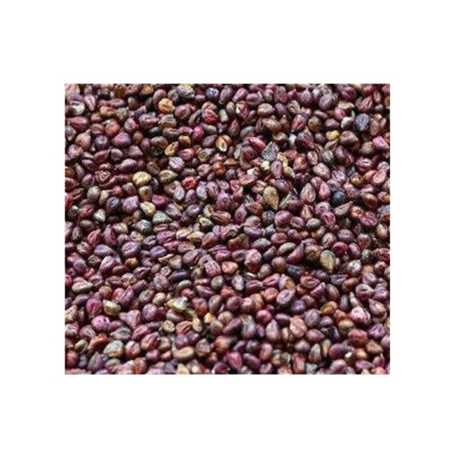 High Purity OPC 95% Grape Seed Grape seed extract powder