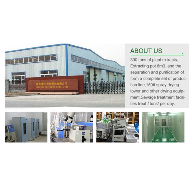 High Purity OPC 95% Grape Seed Grape seed extract powder