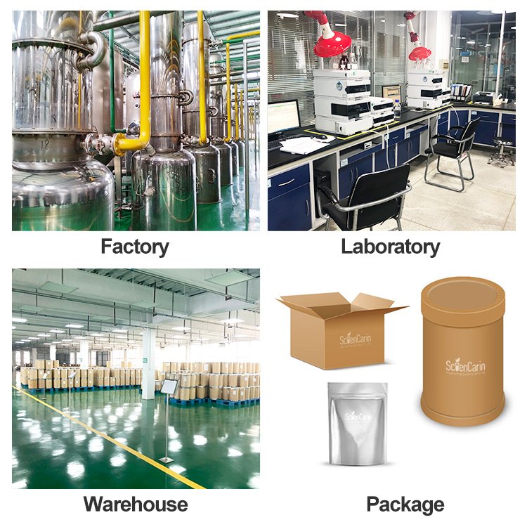OEM Service Natural 95% Grapeseed Grape Seed Extract Powder OPC
