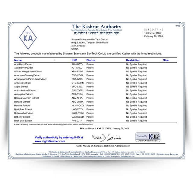 OEM Service Natural 95% Grapeseed Grape Seed Extract Powder OPC