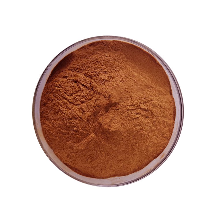Natural 95% OPC Procyanidins B2 Powder Grape Seed Extract