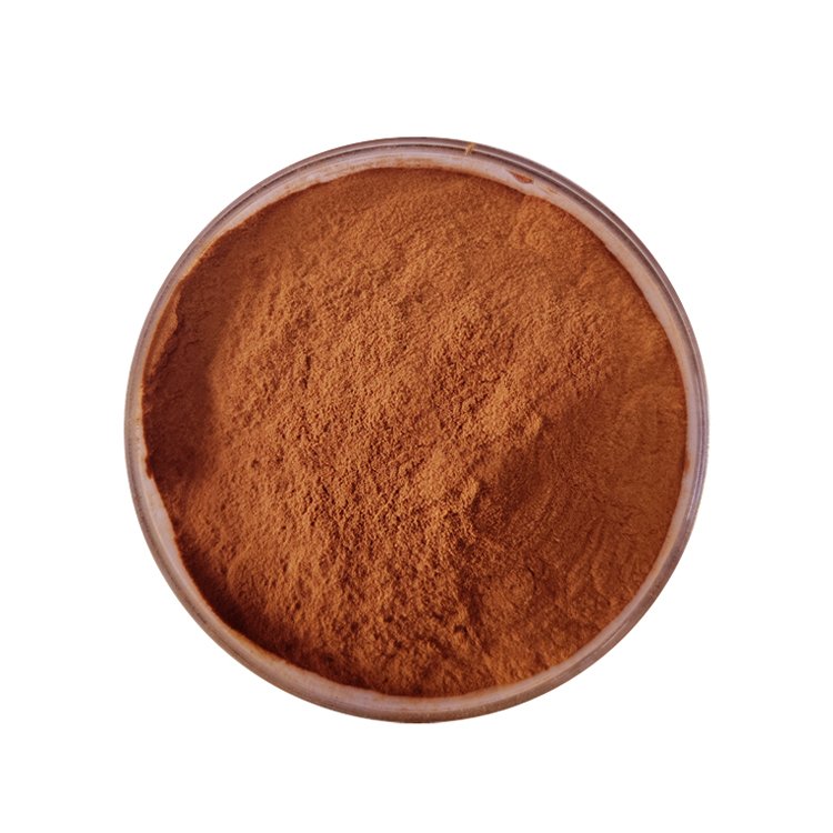 Natural 95% OPC Procyanidins B2 Powder Grape Seed Extract