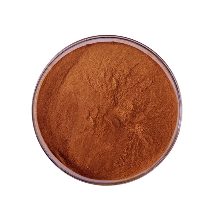 Natural 95% OPC Procyanidins B2 Powder Grape Seed Extract