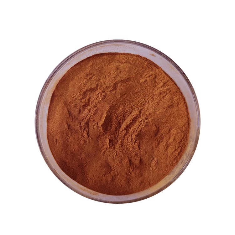 Natural 95% OPC Procyanidins B2 Powder Grape Seed Extract