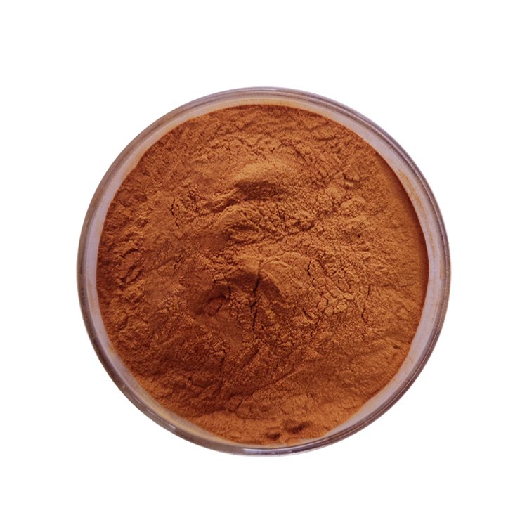 Natural 95% OPC Procyanidins B2 Powder Grape Seed Extract