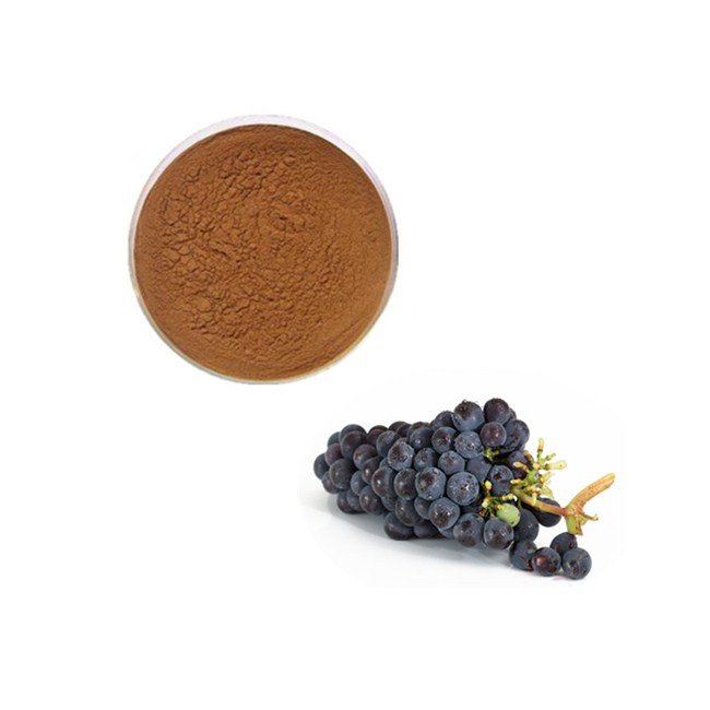 Pure and Organic Grape Seed Extract Procyanidin Natural 95% OPC Grape Seed Extract
