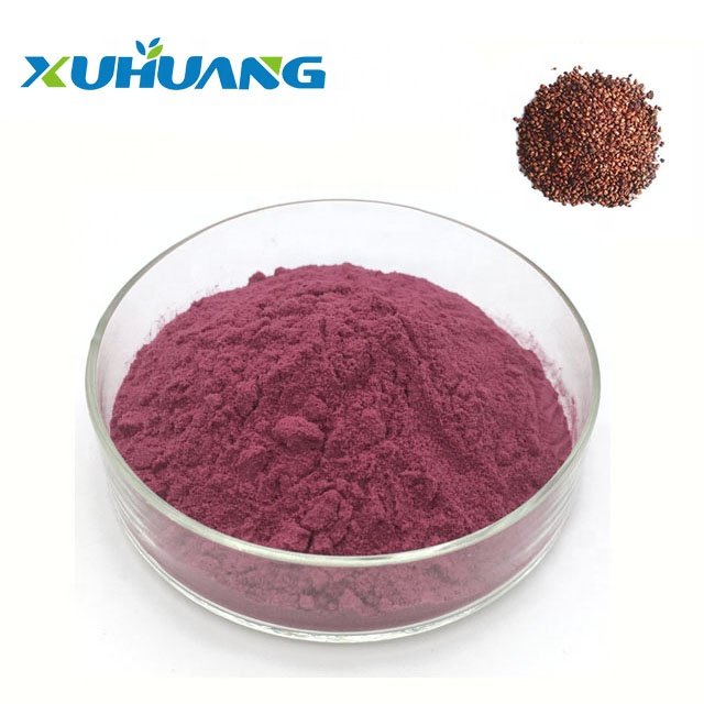 100% Natural Grape Seed Extract opc Pure Grape Seed Extract Powder Wholesale Grape Seed Extract with free samples
