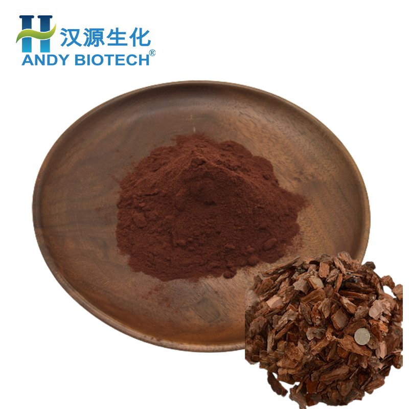 Best selling Pine Bark Extract 95% OPC Proanthocyanidins Pine Bark Extract Powder