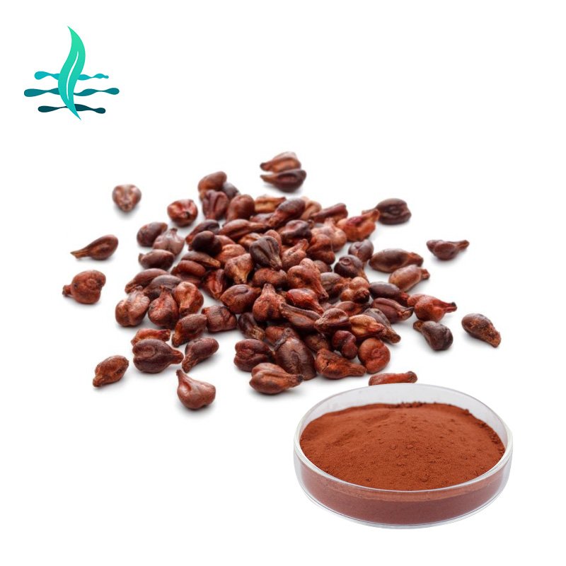 High quality Grape Seed Extract OPC Grape Seed Extract 100% Natural grape seed extract powder