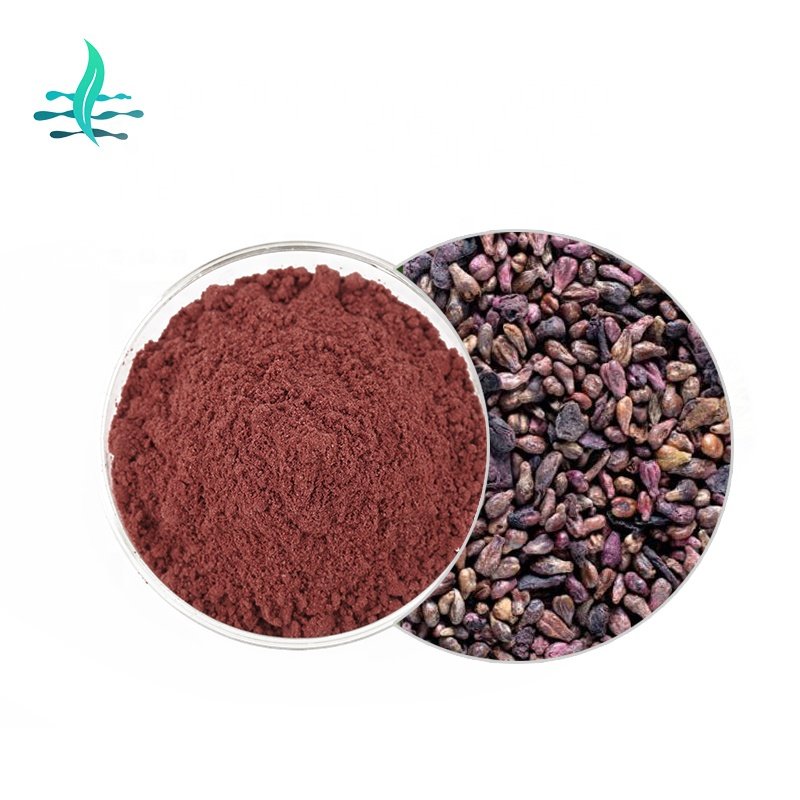 High quality Grape Seed Extract OPC Grape Seed Extract 100% Natural grape seed extract powder