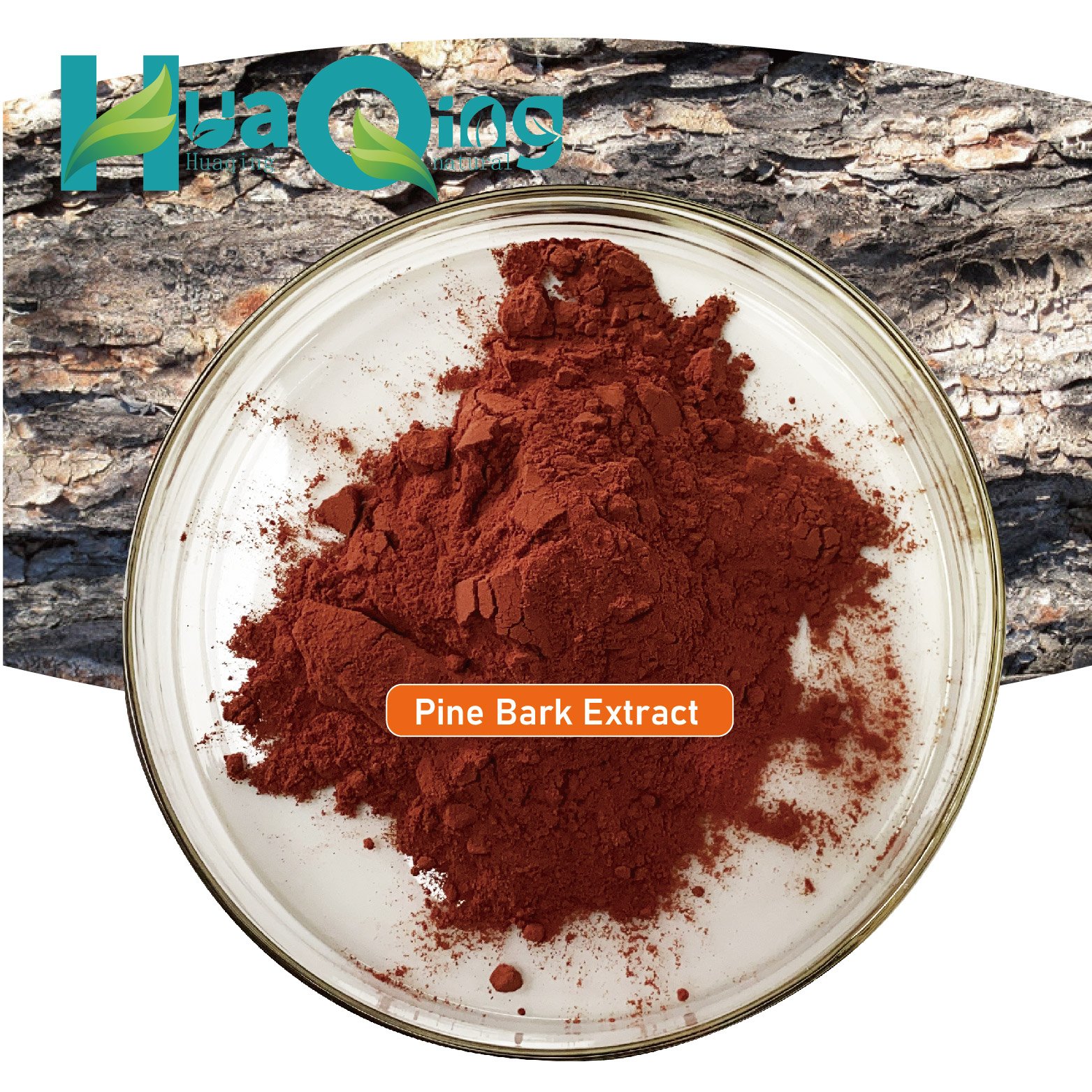 Supply Proanthocyanidins powder 95% OPC french maritime pine bark extract capsules