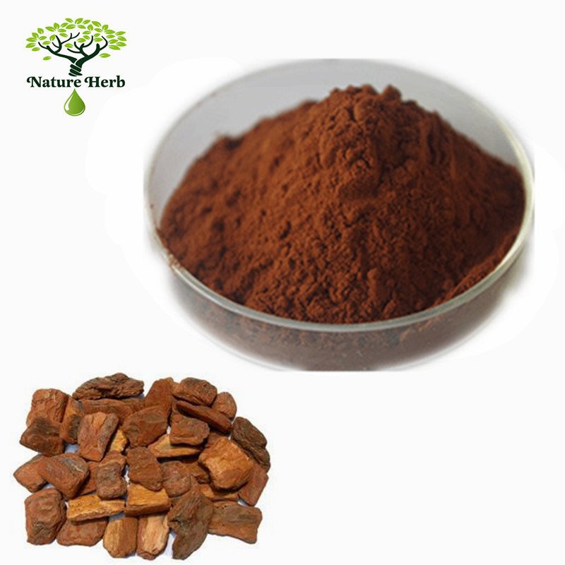 High Quality 100% Natural Pine Bark Extract 95% OPC