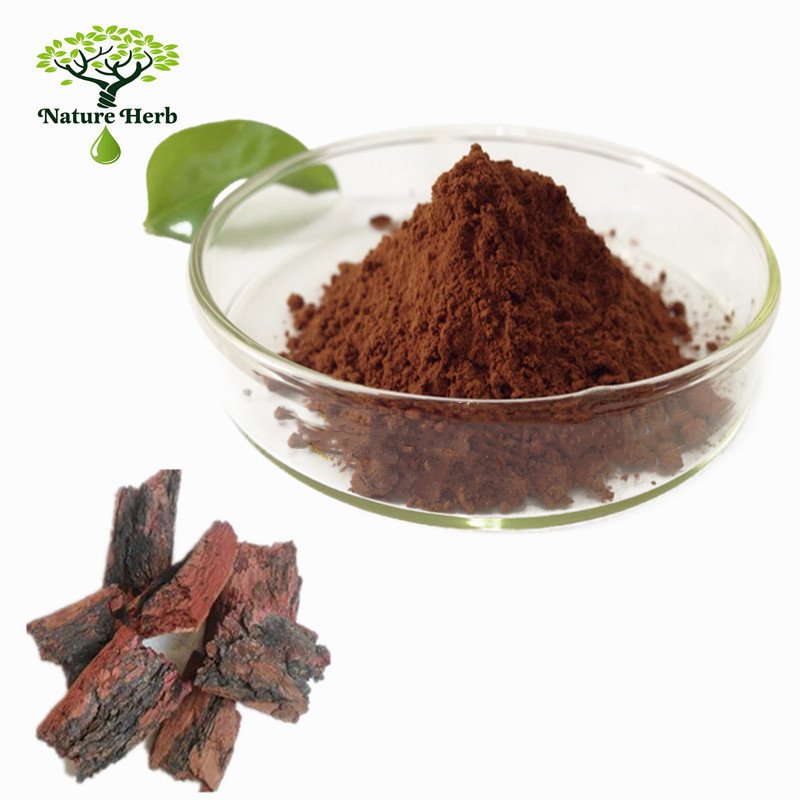 High Quality 100% Natural Pine Bark Extract 95% OPC