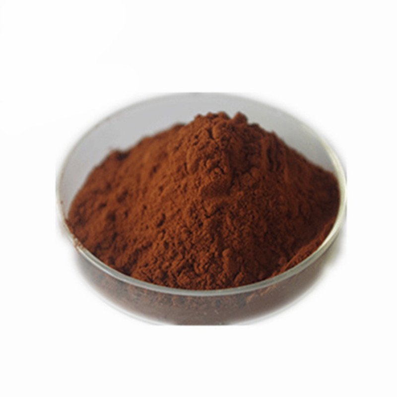 High Quality 100% Natural Pine Bark Extract 95% OPC