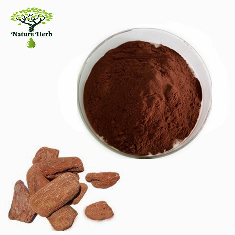 High Quality 100% Natural Pine Bark Extract 95% OPC