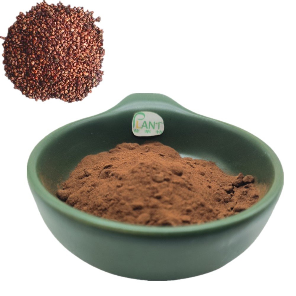Health food supplement Pure Natural Grape seed extract powder Proanthocyanidins OPC 95%