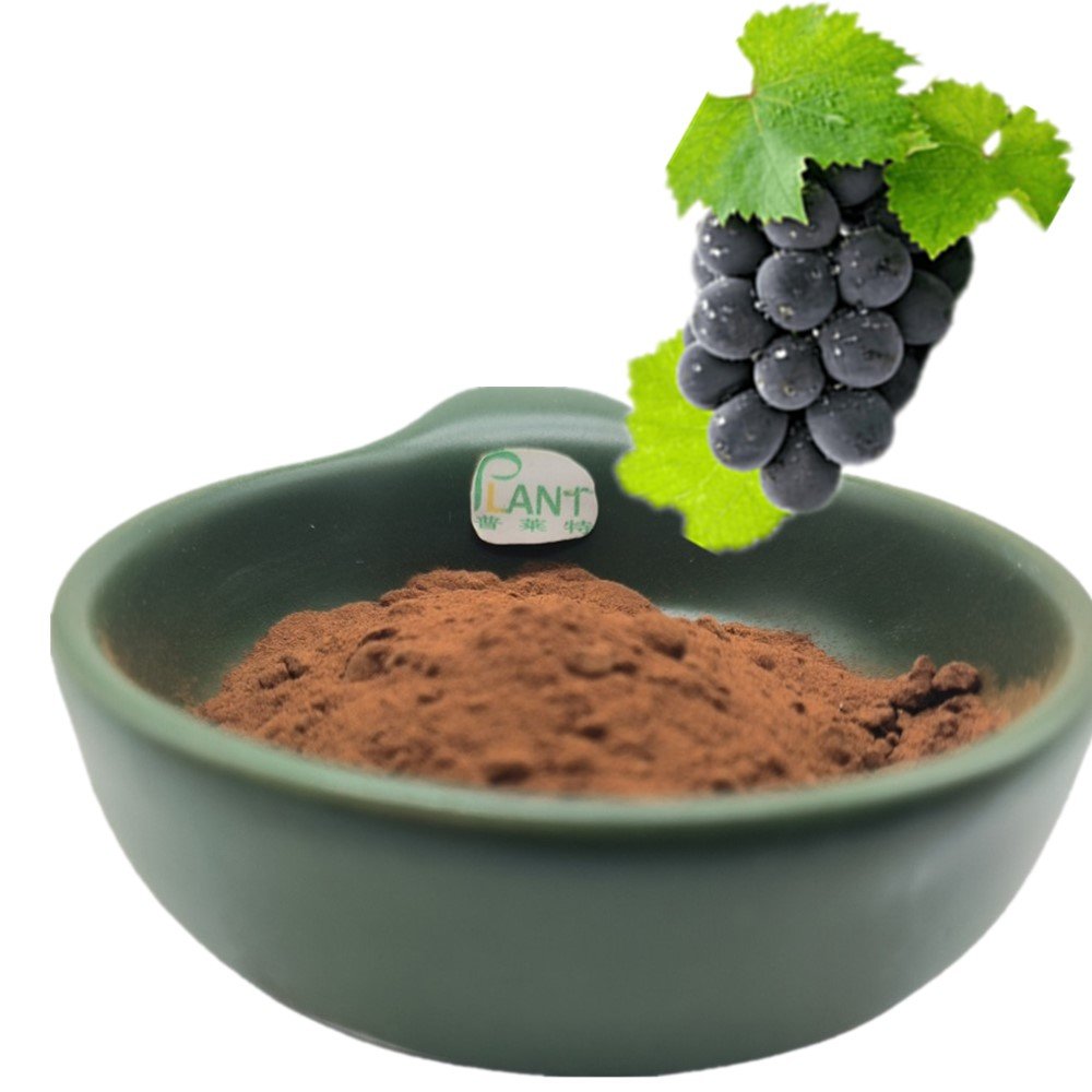 Health food supplement Pure Natural Grape seed extract powder Proanthocyanidins OPC 95%