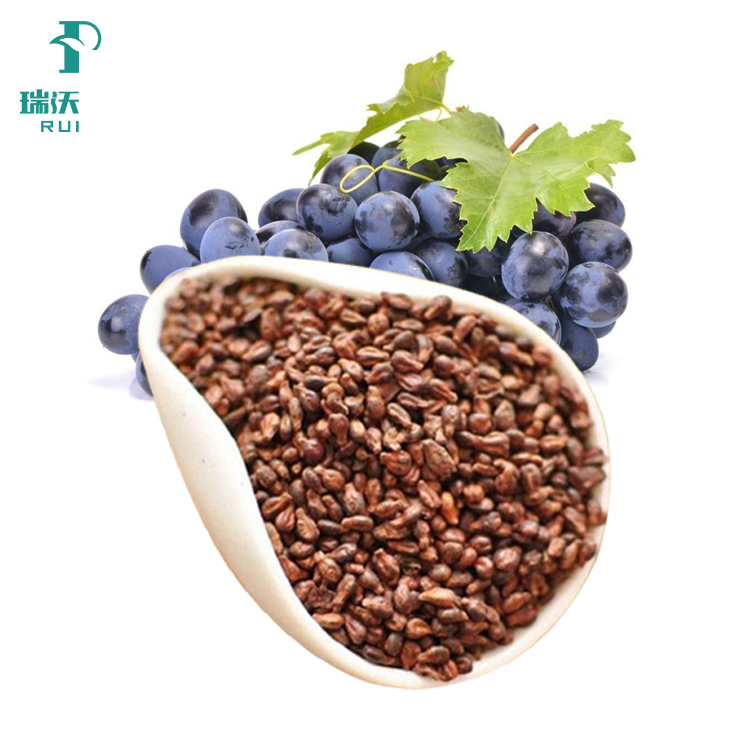 Food Grade Grape Seed Polyphenol Extract Oligomeric Proanthocyanidins/Opc/Procyanidins in Powder Form Packaged in Drum Bottle