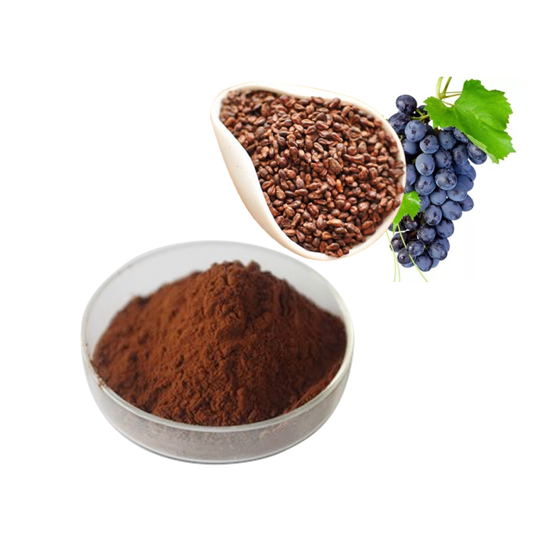 Food Grade Grape Seed Polyphenol Extract Oligomeric Proanthocyanidins/Opc/Procyanidins in Powder Form Packaged in Drum Bottle