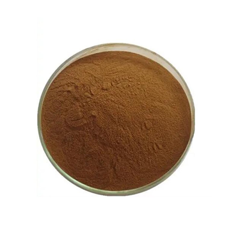Well Sale Nutritional Supplements Liposomal Oligomeric Proanthocyanidins (OPC) Powder