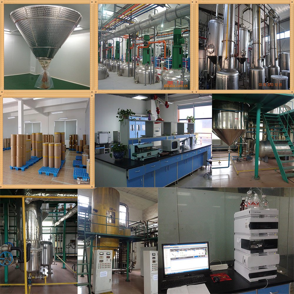 Factory bulk price grape seed extract capule wholesale organic grape seed extract for sale