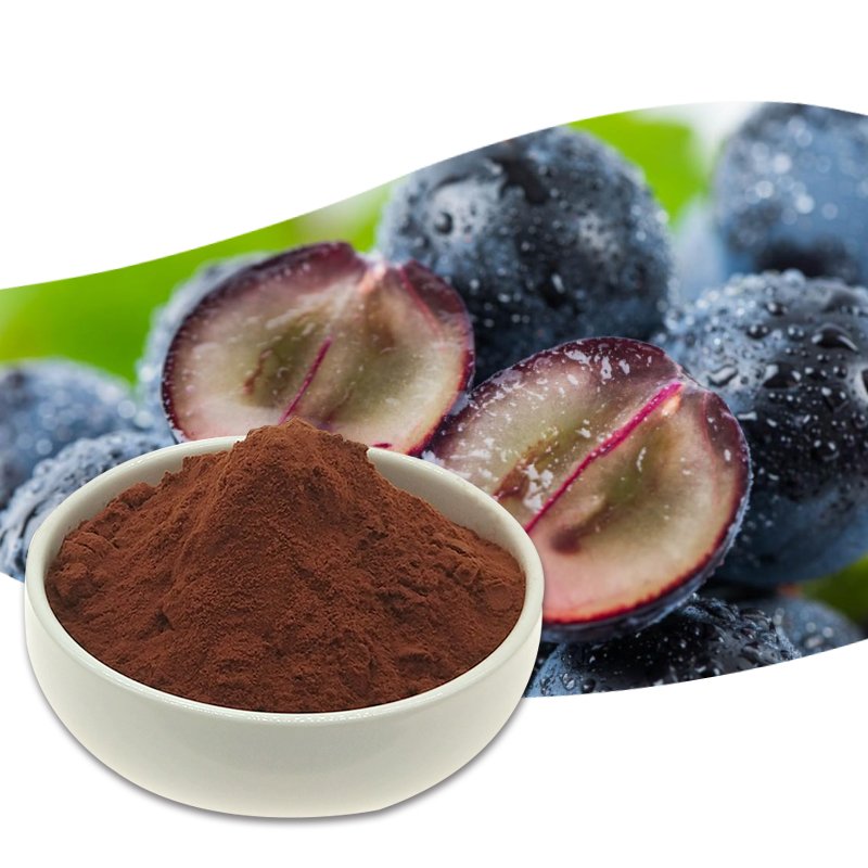 Wholesale pure Natural Proanthocyanidins 95% Skin Care Natural Product Grape Seed Extract