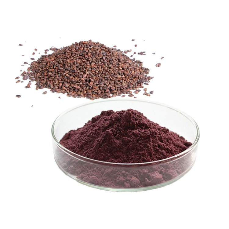 95% Grapeseed OPC Grape Seed Extract Powder Polyphenol